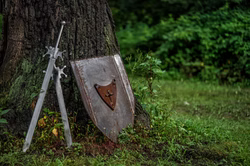 Shield